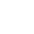 L2