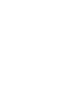 World Boxing Council