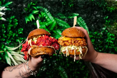 Dsc08538 2